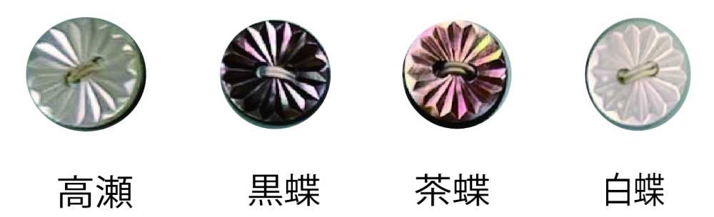 266 Botón De Concha Sin Borde De 2 Agujeros Tomoi