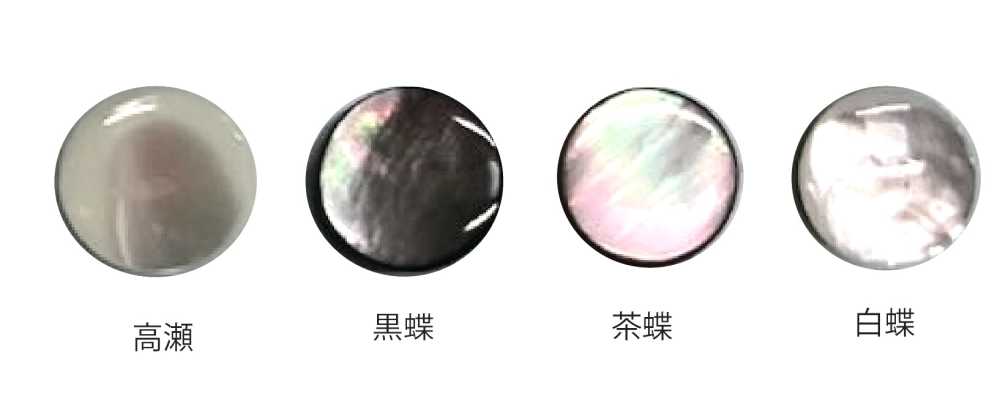 601P Botón De Concha De Polietileno Tomoi