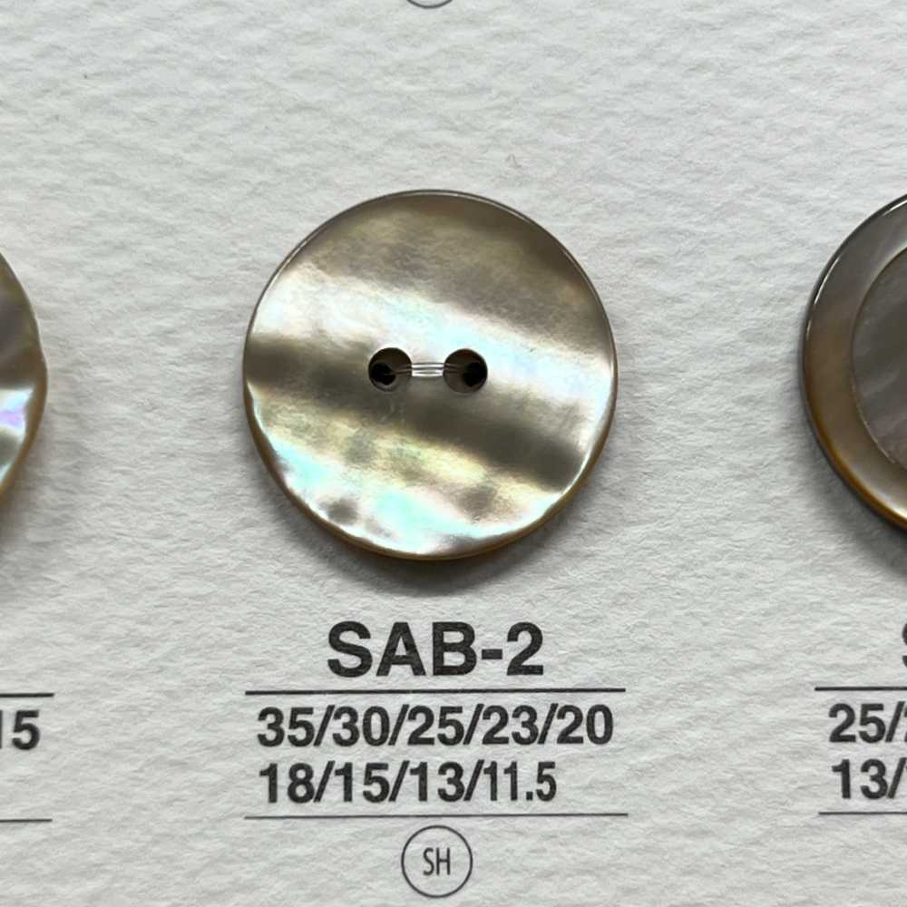 SAB2 Botón Brillante De 2 Agujeros De Carcasa De Material Natural IRIS