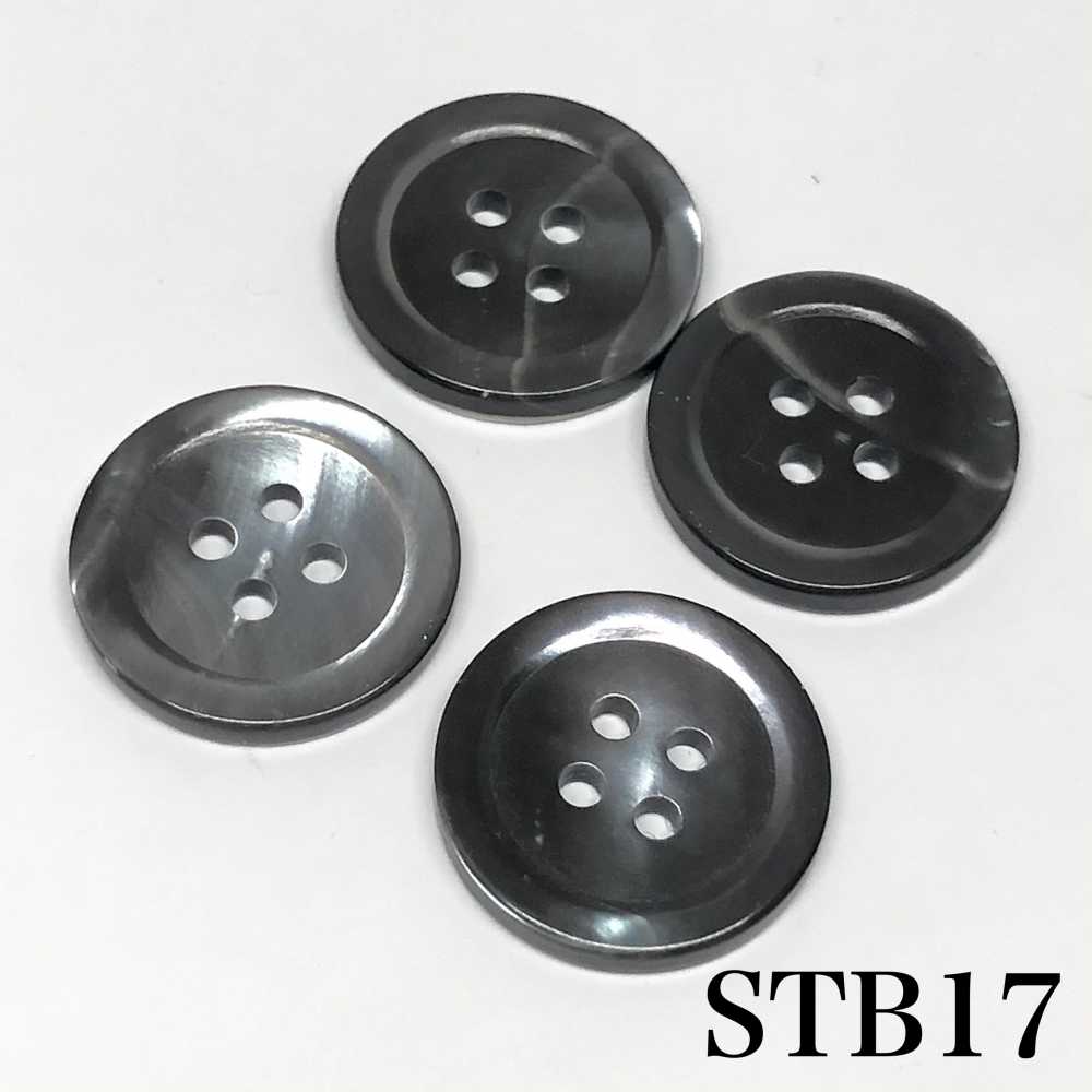 STB17 Botón De Carcasa Principal-ahumado- IRIS