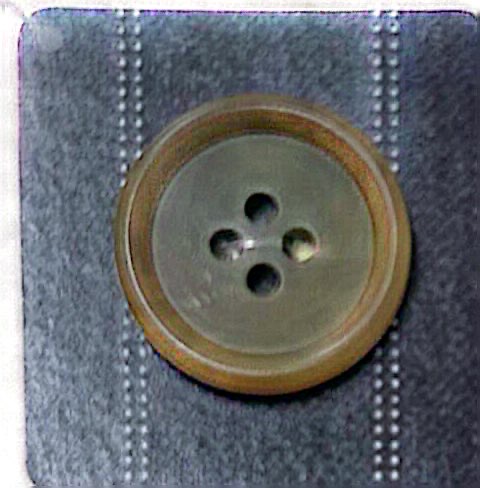 UNT2 [Estilo Tuerca] Botón De 4 Orificios Con Borde, Sin Brillo NITTO Button