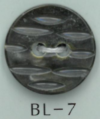 BL-7 Botón De Concha Tallada De 2 Agujeros Sakamoto Saji Shoten