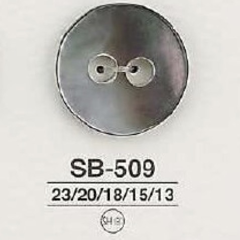 SB509 Botón De Dos Agujeros De Concha De Nácar IRIS