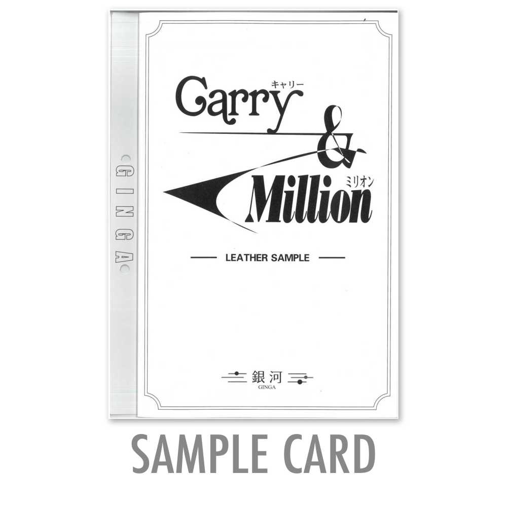 GINGA-SAMPLE2 Tarjeta De Muestra GINGA [Carry & Million]