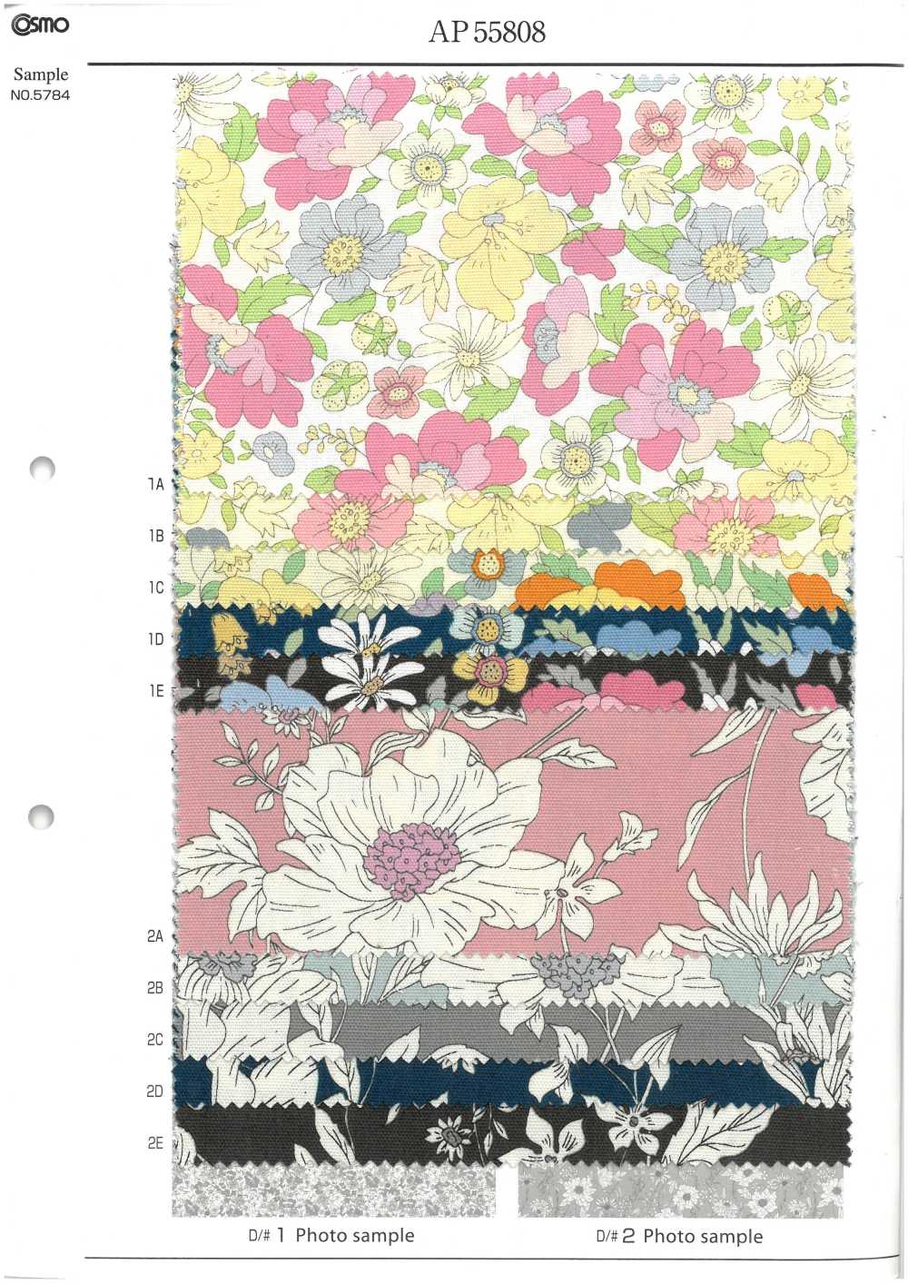 AP55808-DR Essential Grace 2 Oxford (Pliegue Por La Mitad)[Fabrica Textil] COSMO TEXTILE