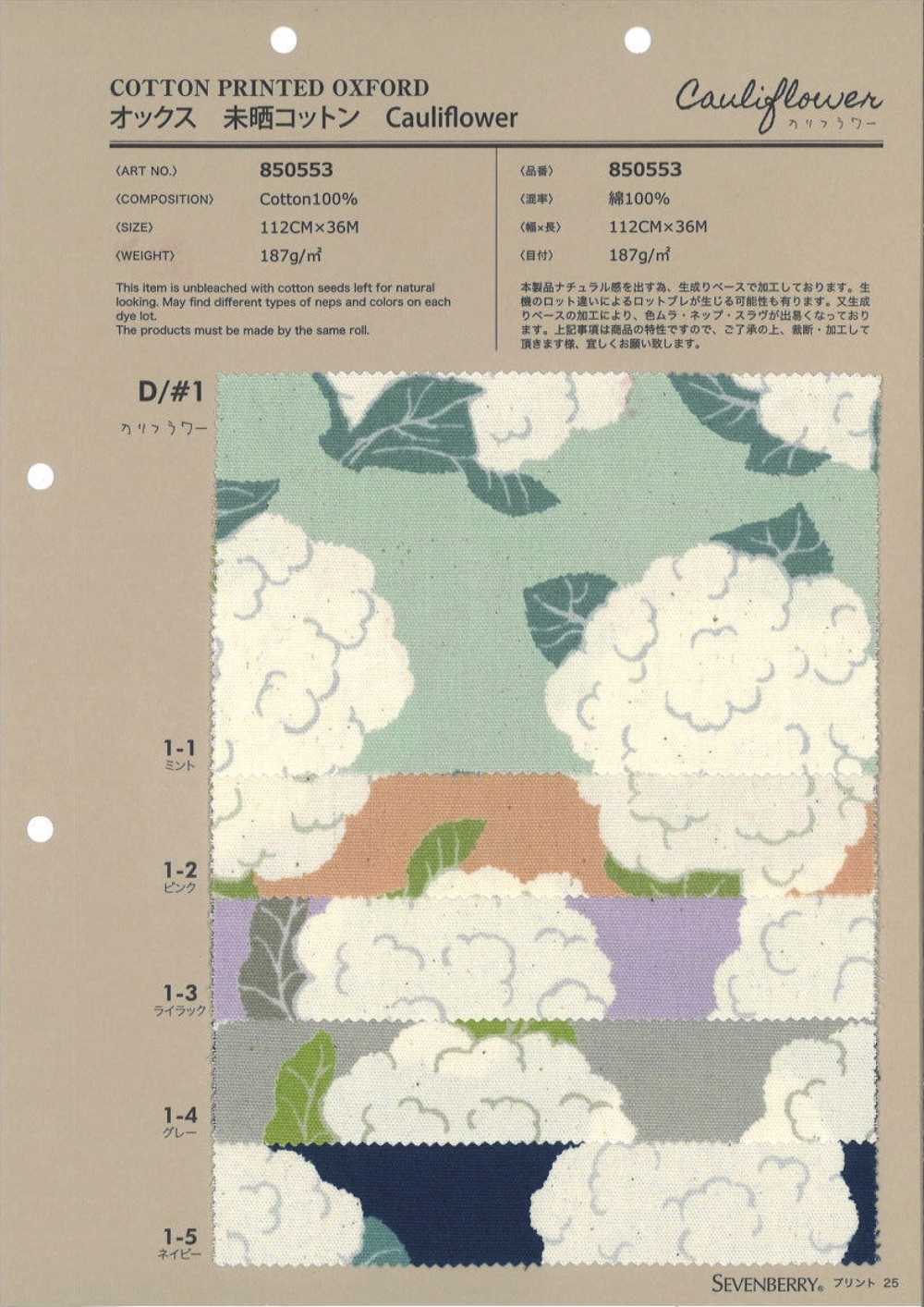 850553 Coliflor De Algodón Oxford Sin Blanquear[Fabrica Textil] VANCET