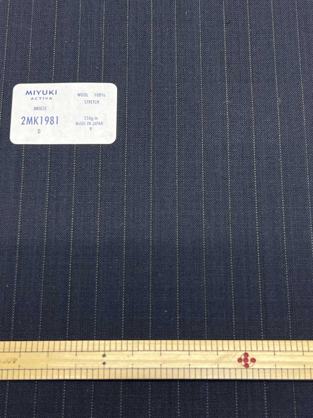 2MK1981 ACTIVA STRETCH Rayas Azul Marino[Textil] Miyuki Keori (Miyuki)
