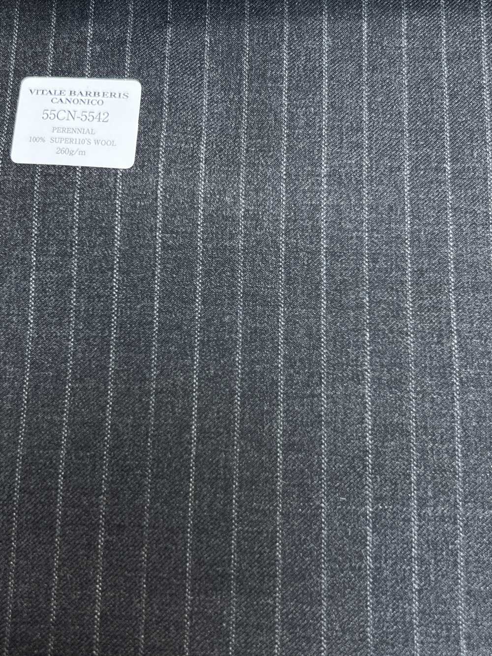 55CN5542 CANONICO PERENNIAL SUPER110'S Raya Gris Cielo Carbón[Textil] CANÓNICO