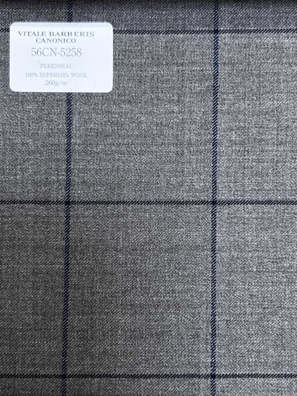 56CN5258 CANONICO (Canonico) PERENNIAL-CLASSICS cuadro ventana marrón/azul marino[Textil] CANÓNICO