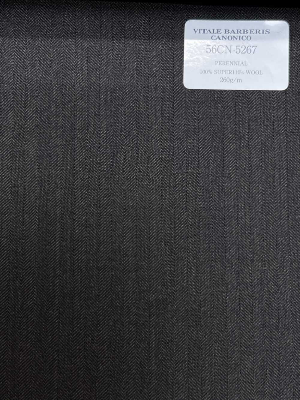 56CN5267 CANONICO (Canonico) PERENNIAL-CLASSICS Espiga marrón[Textil] CANÓNICO