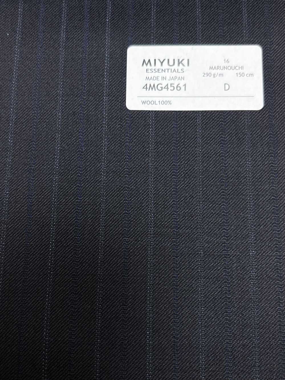4MG4561 26AW MARUNOUCHI Sarga a rayas marino[Textil] Fábricas De Lana Miyuki