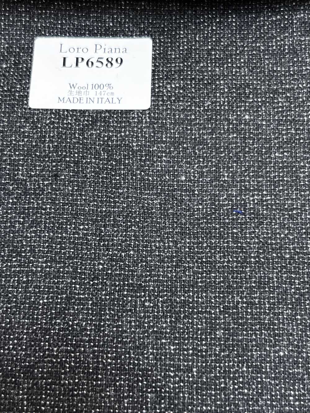 LP6589 Loro Piana Gris[Tela] HOSOI SYOJI