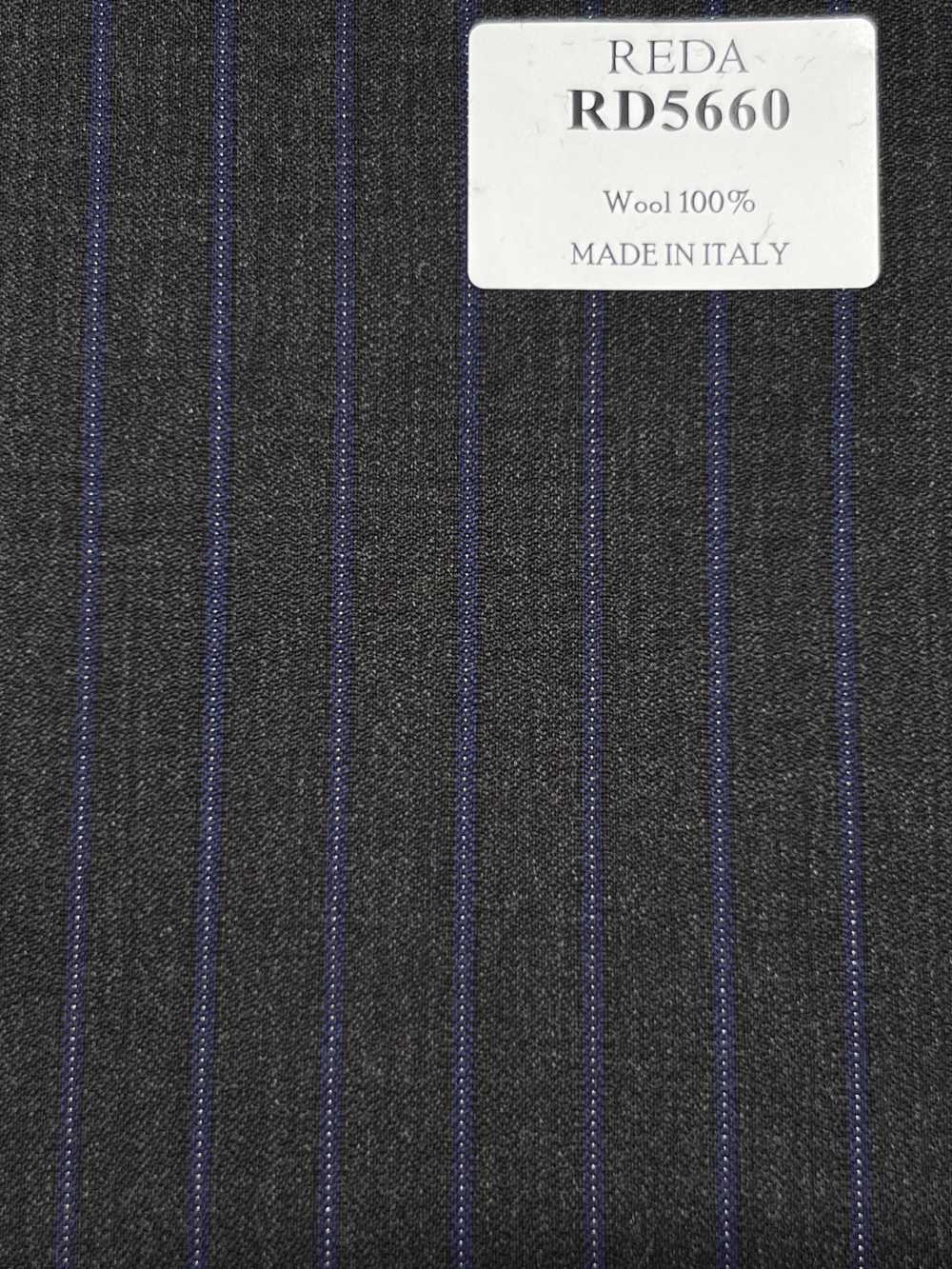 RD5660 REDA Raya gris X azul marino[Textil] HOSOI SYOJI