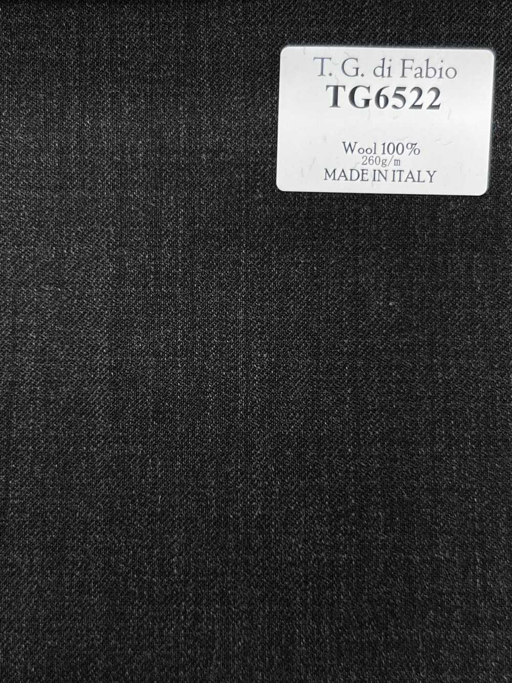 TG6522 T.G Di FABIO gris liso[Textil] HOSOI SYOJI