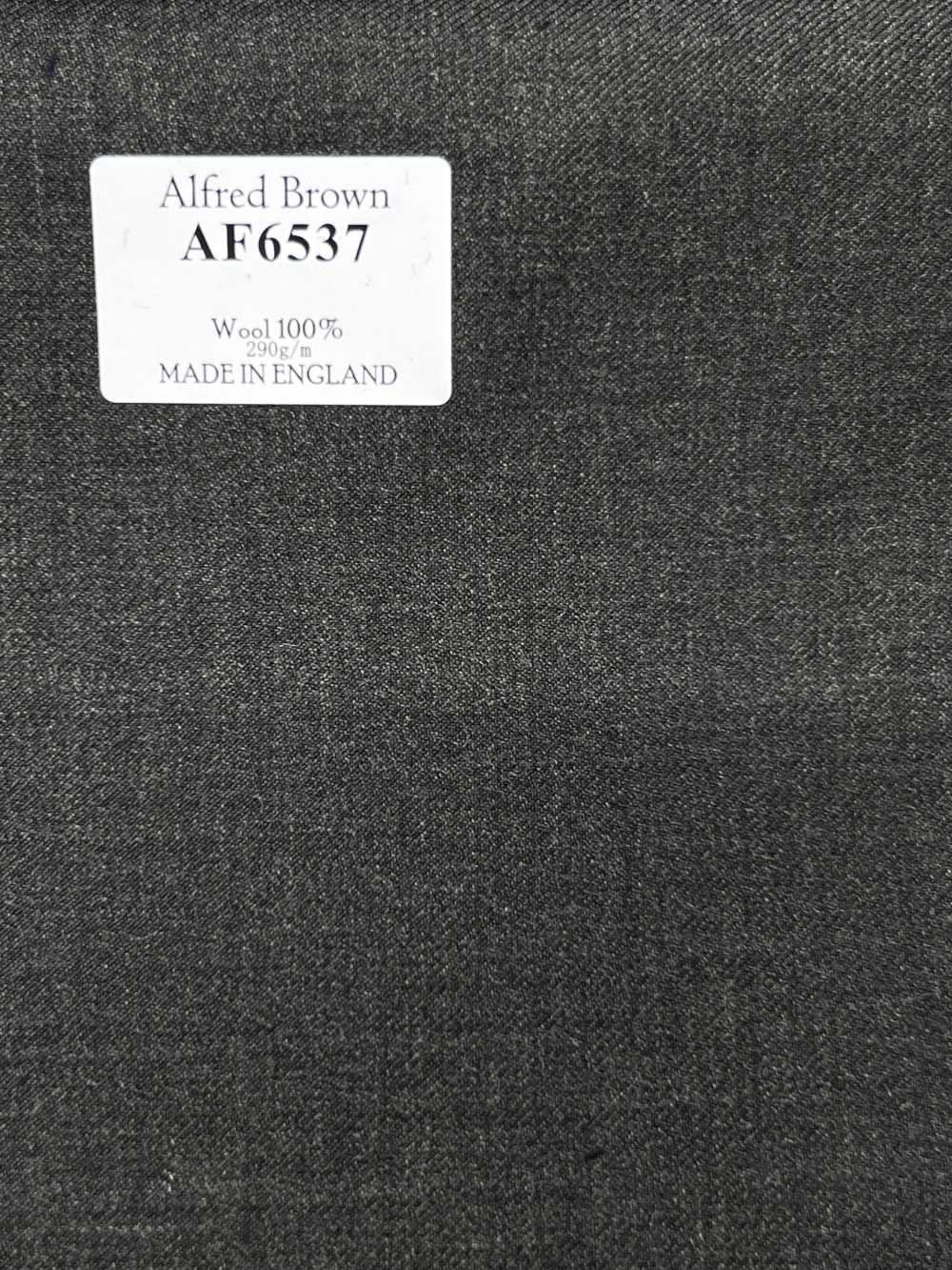 AF6537 Alfred Brown liso azul marino oscuro[Textil] HOSOI SYOJI