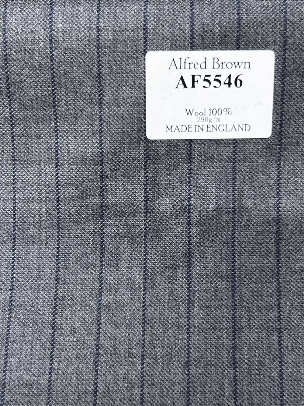 AF5546 Alfred Brown Raya gris × azul marino[Textil] HOSOI SYOJI