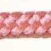 Rosa Coral