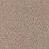 Beige Arena