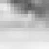 Monocromo