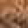 Canela