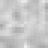 Gris Claro