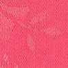 Rosa Coral