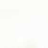 Blanco roto