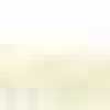 Blanco roto
