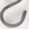 BN
