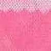 Rosa Vivo Rosa Vivo