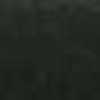 Bosque Negro