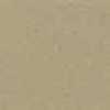 Beige Beige