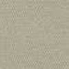 Beige Claro