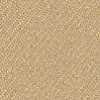 Beige Arena