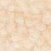 Beige Claro