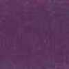 Violeta Violeta