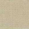 Beige Arena