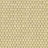 Beige Claro
