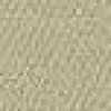 Beige Arena