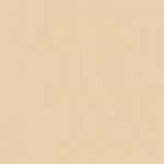 Beige Claro Beige Claro