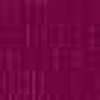Fucsia Fucsia