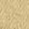 Beige Arena
