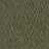 Caqui