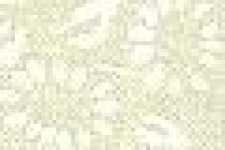 Ramo De Flores / Beige