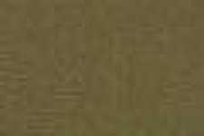 Beige Camello