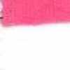 Rosa Chicle Rosa Chicle