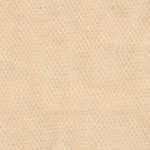 Beige Arena