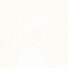 Blanco roto