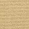 Beige Arena