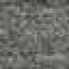 Gris Topo